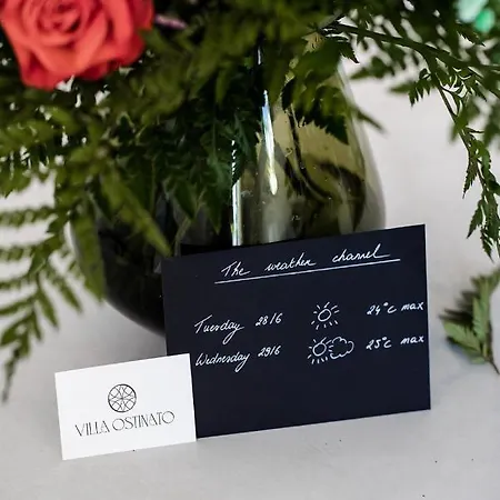 Ostinato 호텔 오스텐드